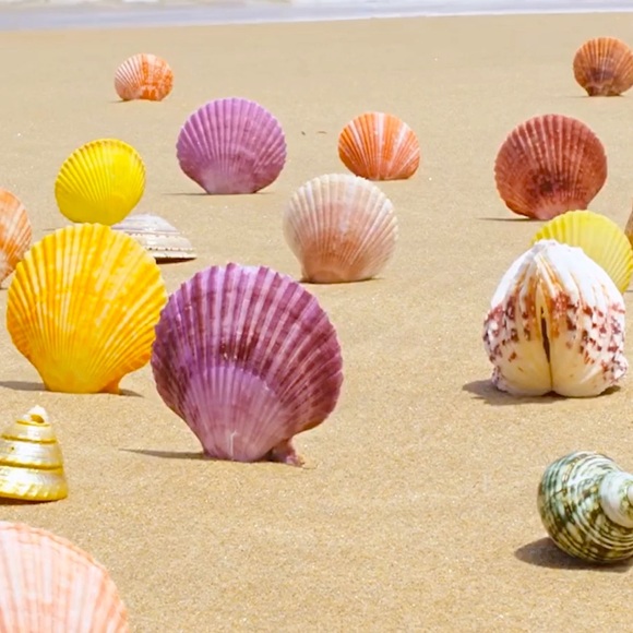 Blessing to All who have come here 🙏 - Picture 2 of 4